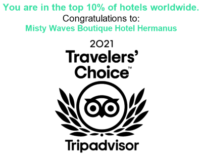 Travelers Choice 2021 Top 10%